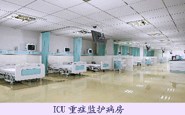 ICU远程探视系统
